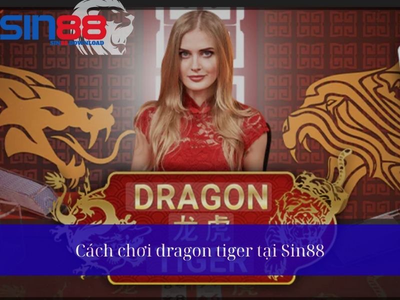 Cách tham gia chơi Dragon Tiger tại Sin88