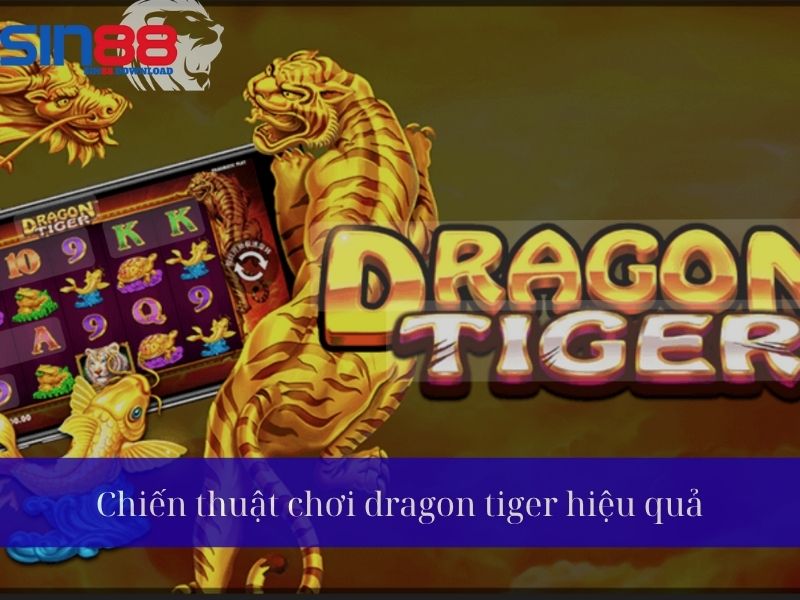 Chiến thuật chơi Dragon Tiger hiệu quả
