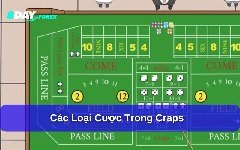 Các loại cược phổ biến trong Craps