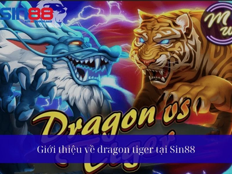 Giới thiệu về trò chơi Dragon Tiger tại Sin88